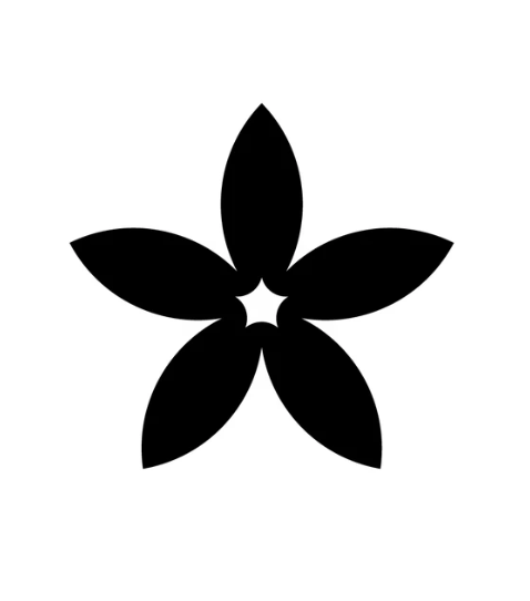 星野玩客游戏资讯站
